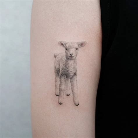 sheep tattoo|sheep tattoo designs for animals.